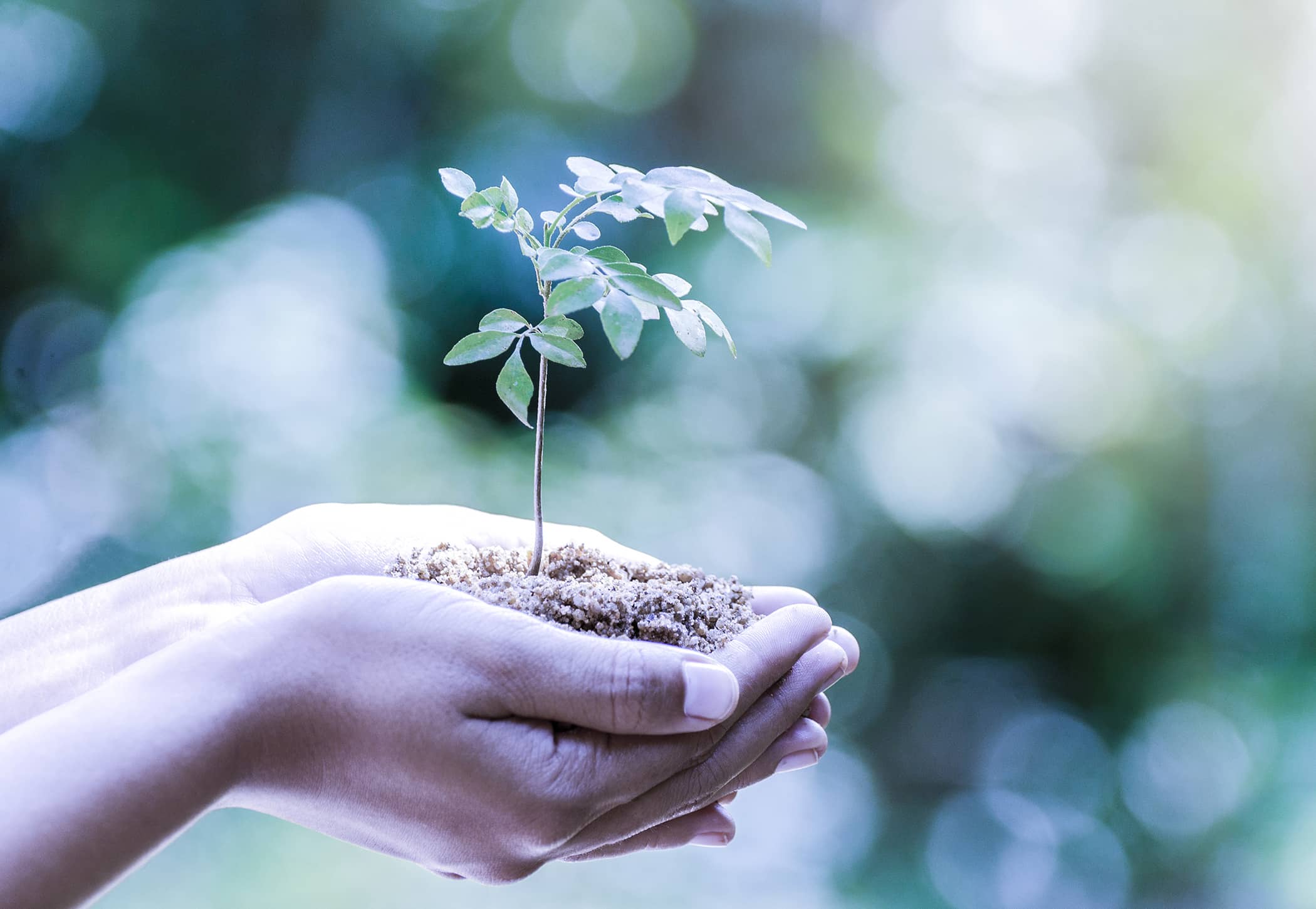 Gestion de l'environnement et de l'énergie